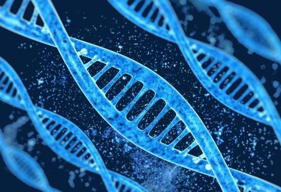 遗传基因的本质是什么？遗传基因=dna吗？
