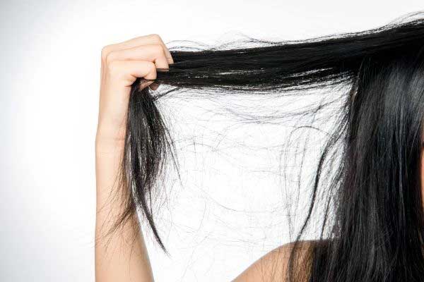 头发拔下来多久有效可以做亲子鉴定？