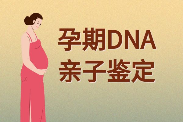 无创胎儿孕期dna亲子鉴定