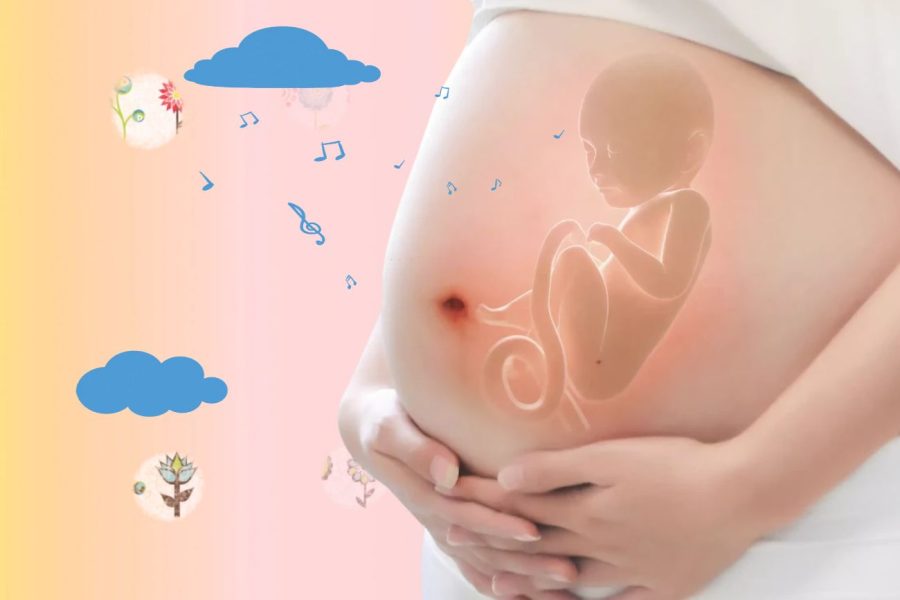 胎儿鉴定无创亲子鉴定多少钱一次？
