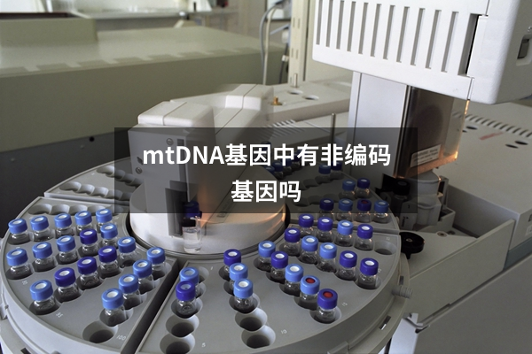 mtDNA基因中有非编码基因吗