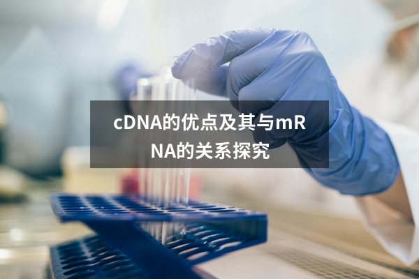 cDNA的优点及其与mRNA的关系探究