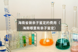 海南省做亲子鉴定的费用（海南哪里有亲子鉴定）