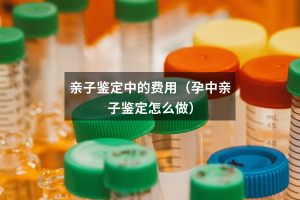 亲子鉴定中的费用（孕中亲子鉴定怎么做）