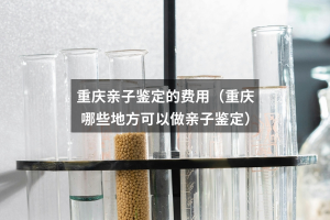 重庆亲子鉴定的费用（重庆哪些地方可以做亲子鉴定）
