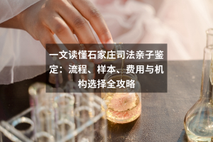 一文读懂石家庄司法亲子鉴定：流程、样本、费用与机构选择全攻略