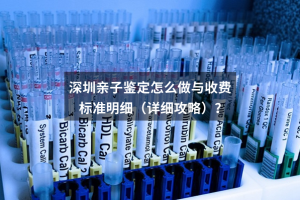 深圳亲子鉴定怎么做与收费标准明细（详细攻略）？