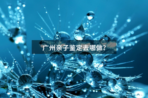 广州亲子鉴定去哪做？